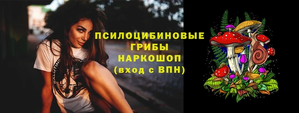 стафф Арсеньев