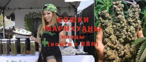 скорость Пестово