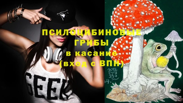 твердый Аркадак