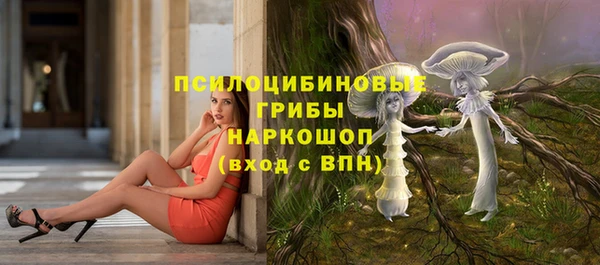 прущая мука Армянск