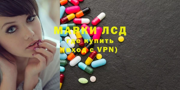 стафф Арсеньев