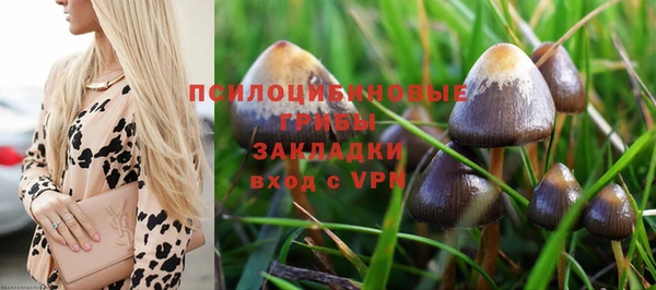 бошки Алзамай