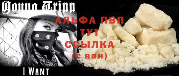 стафф Арсеньев