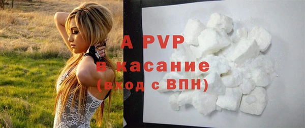 твердый Аркадак