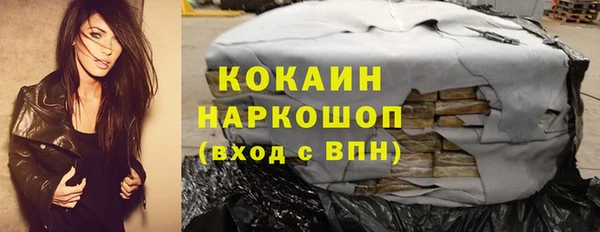 стафф Арсеньев